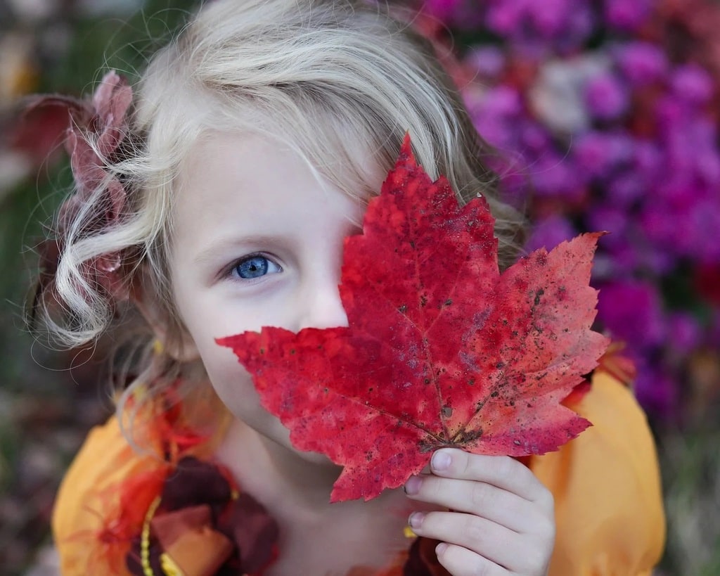 L'importance de bien organiser son voyage en famille